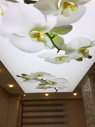 SkyLux