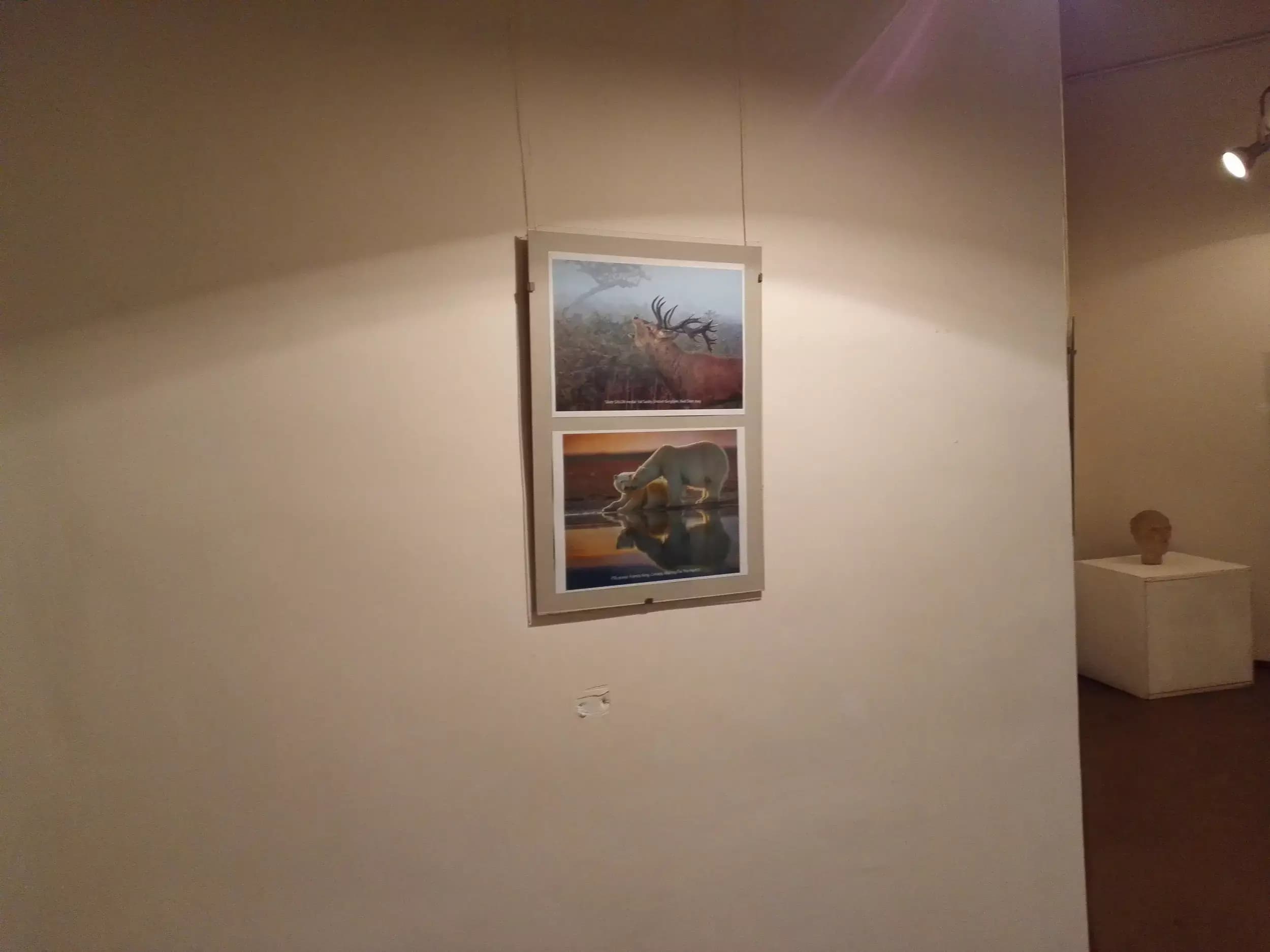 Художествена Галерия "Вълчо Вълчев" - Салон за наивистично и интуитивно изкуство / Salon of naive and intuitive art