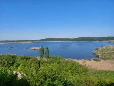 Природонаучен музей Сребърна