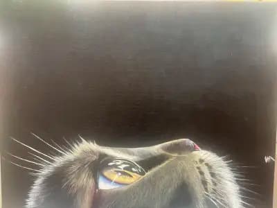 Ина art Gallery.Портрети.Карикатури.Рамкиране