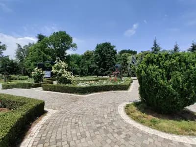 Розариум в Борисовата градина