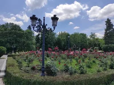 Розариум в Борисовата градина