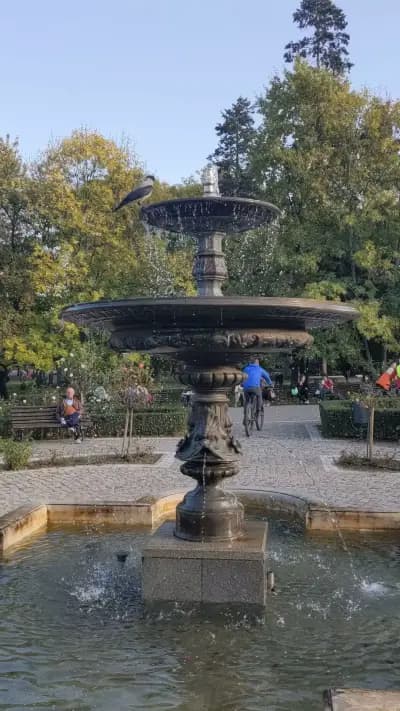 Розариум в Борисовата градина