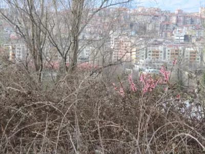 Парк Македония