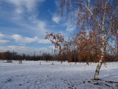 Студентски парк