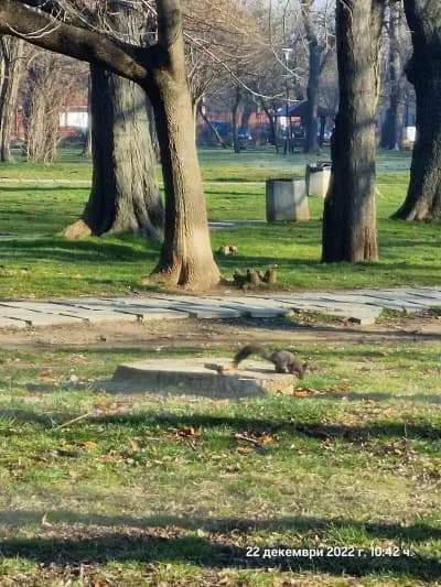 Парк „Овча купел“