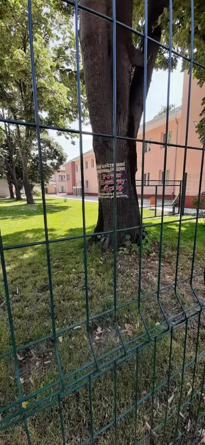 Държавно горско стопанство - Свищов