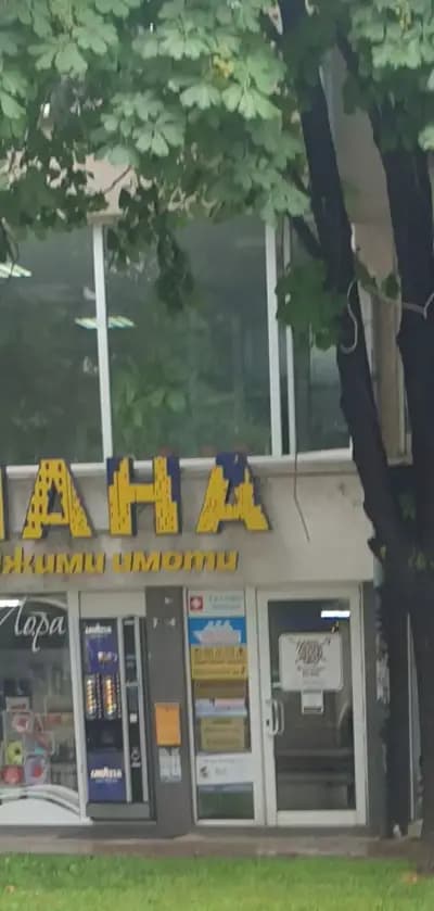 Адвокат Даниела Иванова