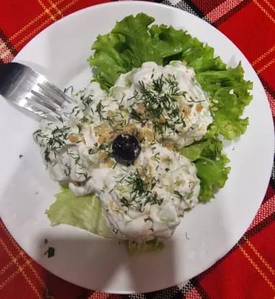 Механа МАЯН