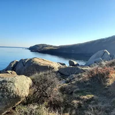 Супермаркет Черно море
