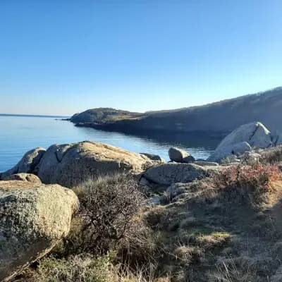 Супермаркет Черно море
