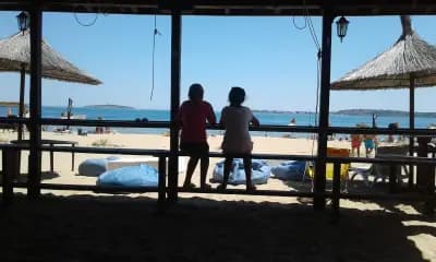 Liucy's Surf Bar
