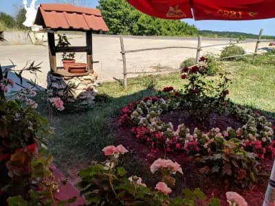 Бистро при Химчо