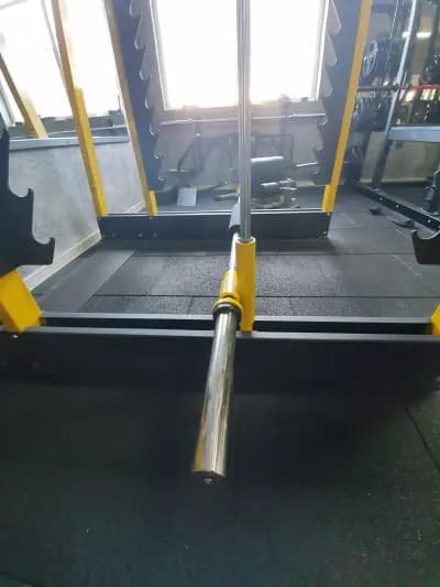 Jungle Gym