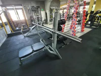 Jungle Gym