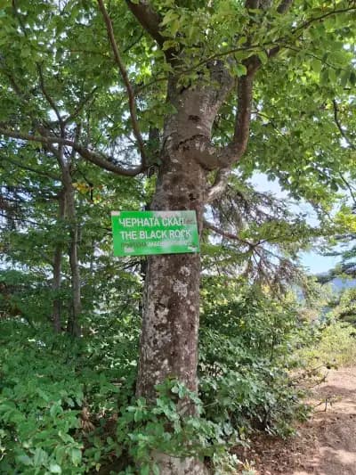 Hiking Trail to the Black Rock