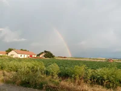 Джамия с. Кликач