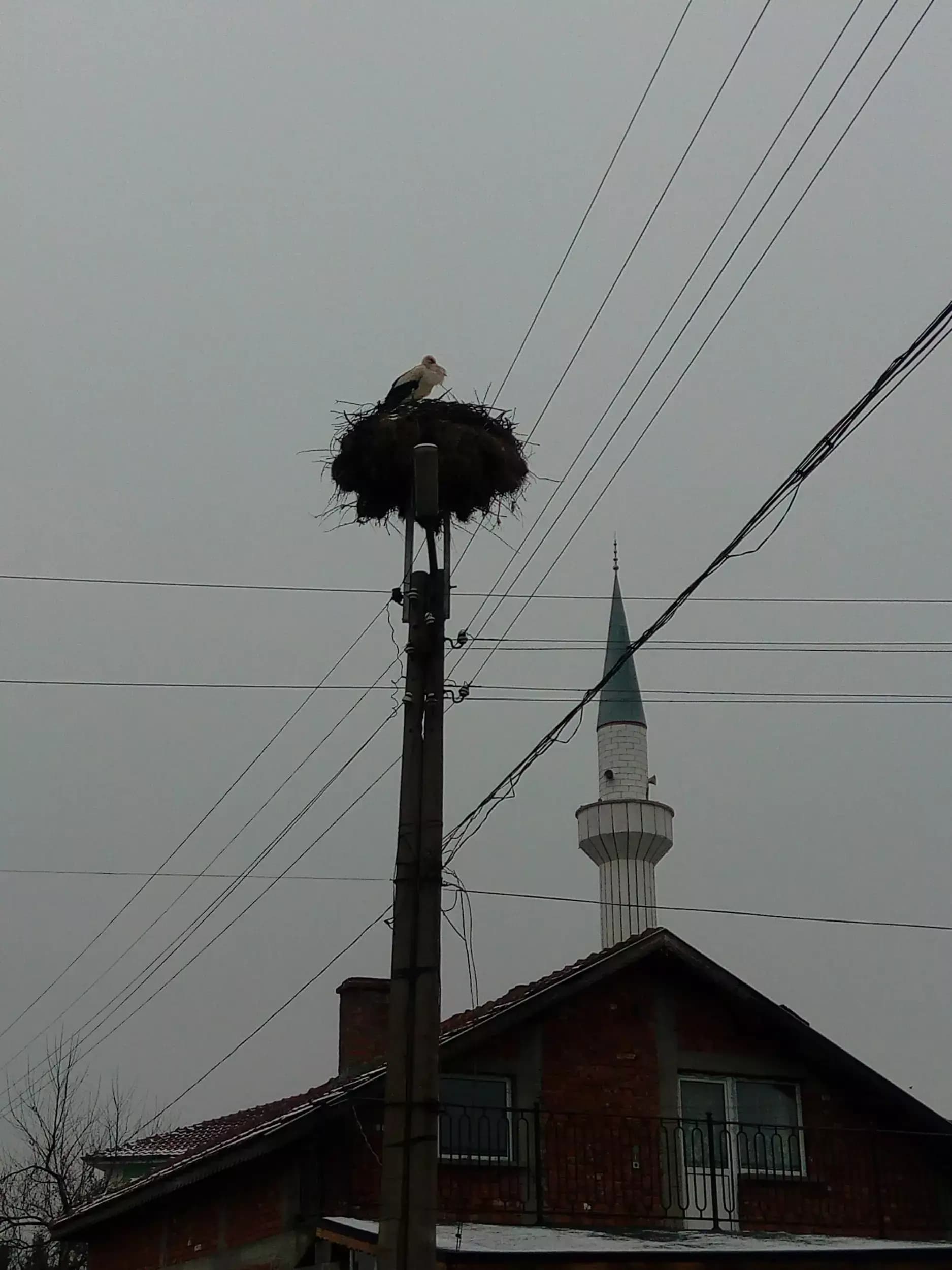 Джамия с. Кликач