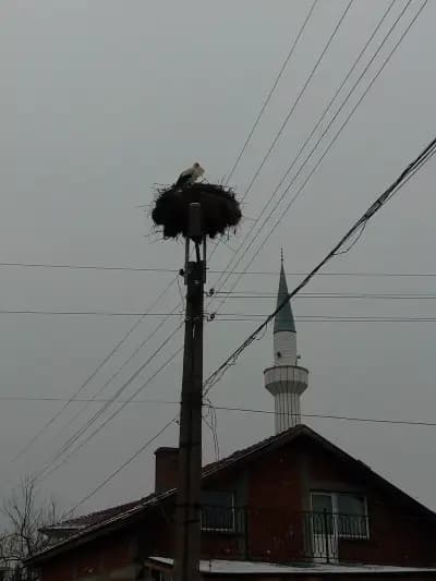 Джамия с. Кликач