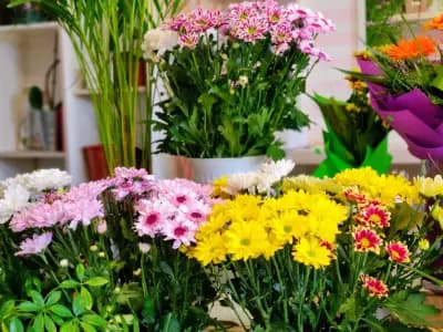 Flower shop "Cvetence" / Магазин за цветя "Цветенце"