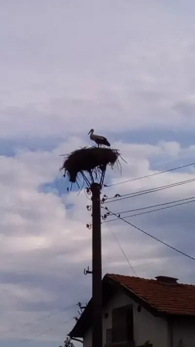 Стадион ,,Шери"