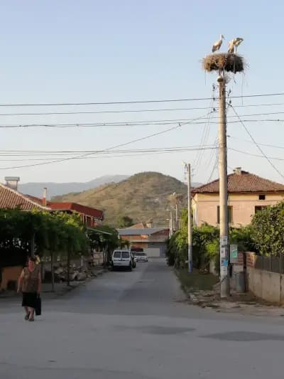 Кафене