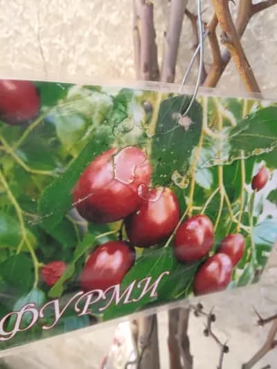 Супермаркет "Росида"