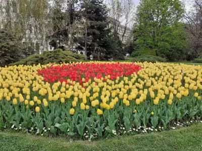 Градина „Св. св. Кирил и Методий“