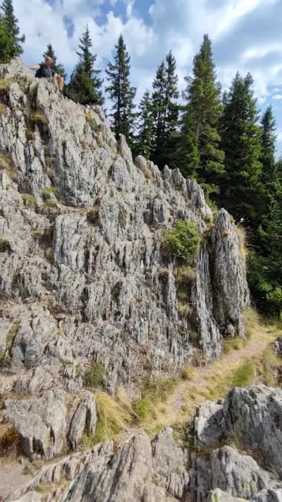 Орфееви скали Пампорово