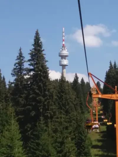 Лирата на Орфей