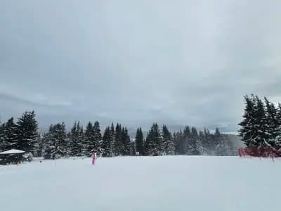 Cafe Panorama - Snejanka Tower