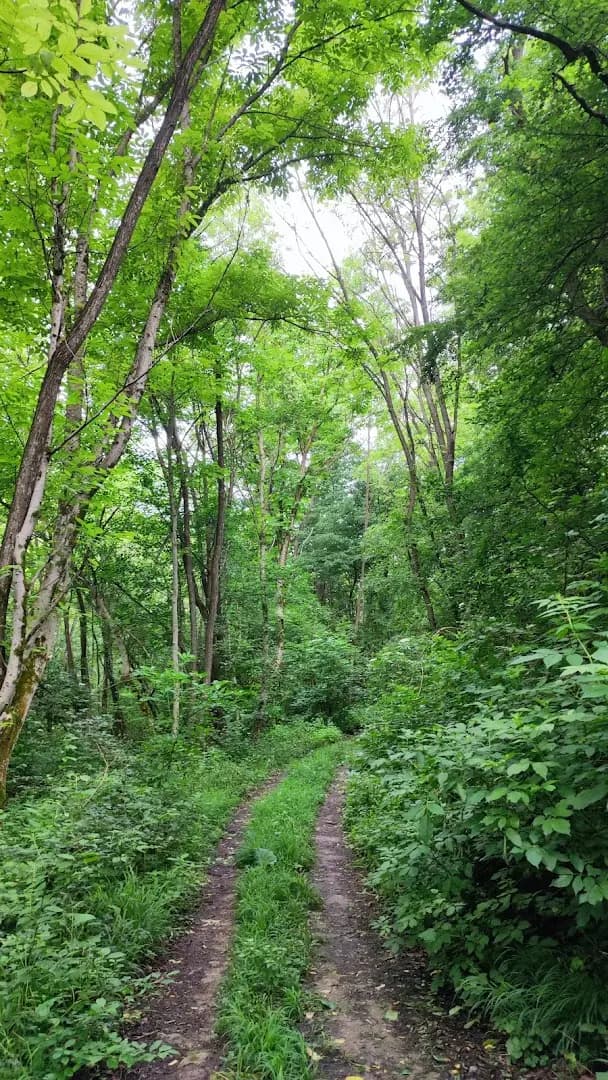 Водопад „Мари скок“