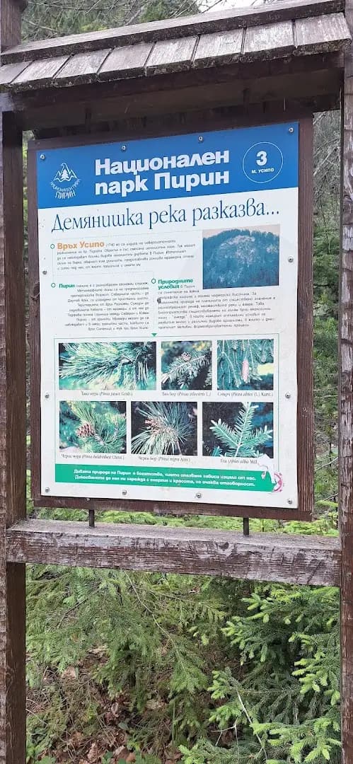 Юленски скок