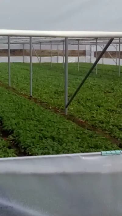 Стадион Лебница