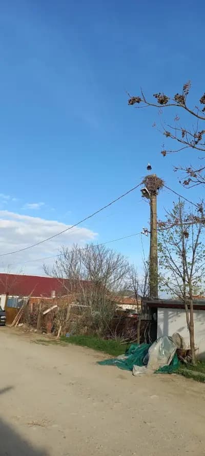 Стадион „Кърналово“