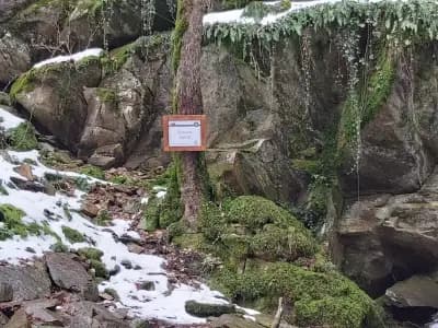 Лешнишки водопад