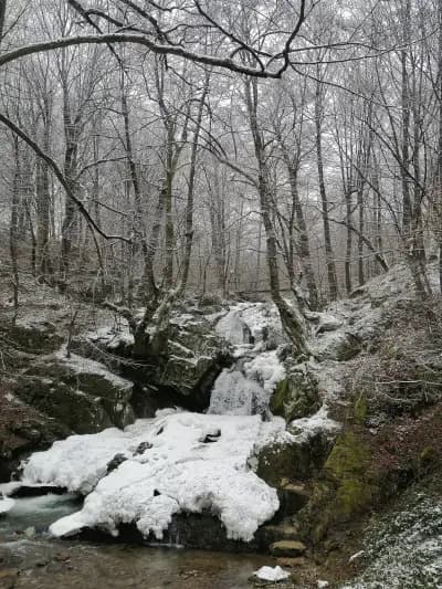 Местност „Водопада“, Вършец