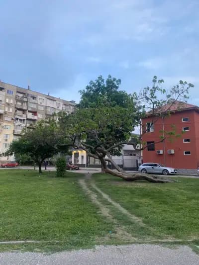 Парк “Владикина Бахча”