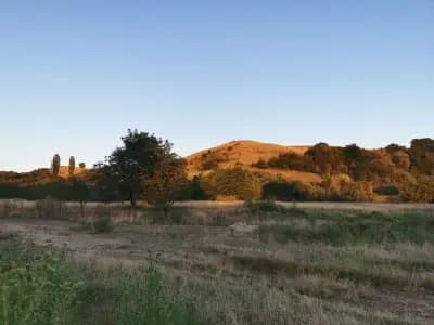 Стадион Вълчедръм