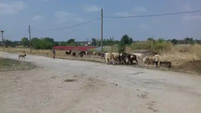 Ловен дом