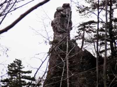 Сувчарско пръскало