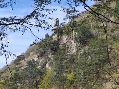 Сувчарско пръскало