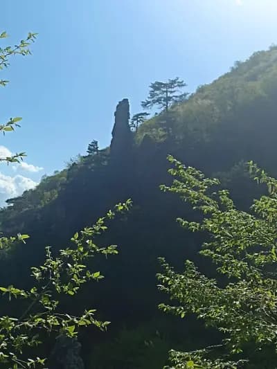 Сувчарско пръскало