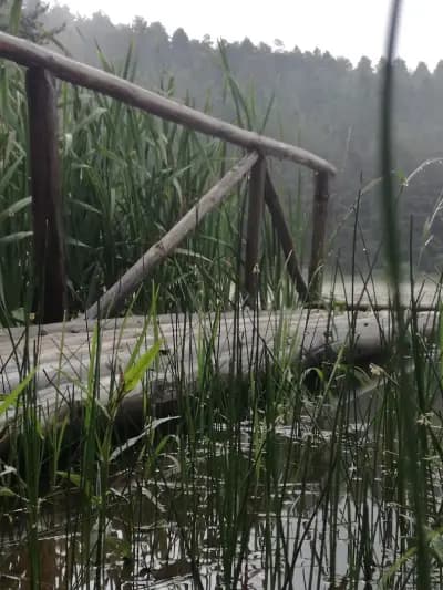 Езеро Паничище