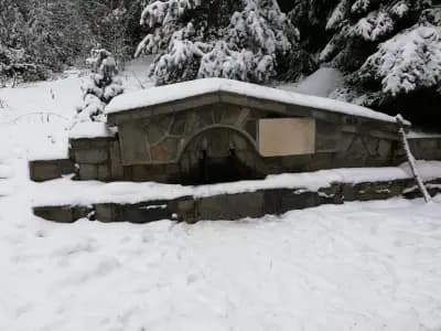 Езеро Паничище