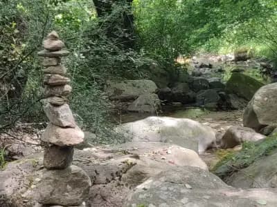 Стария Чарк