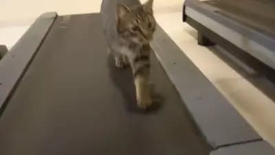 Фитнес "Спартак"