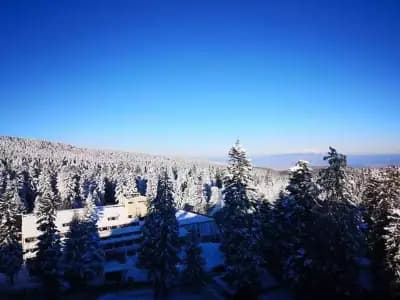 Бистро Хрима