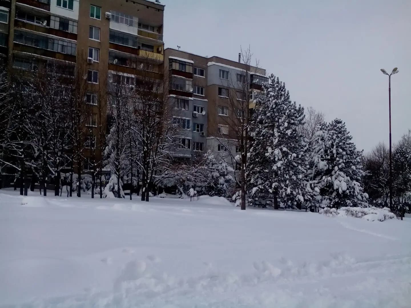 Абритус сити
