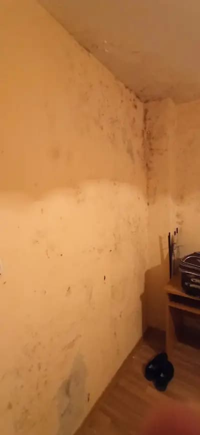 ПБЗН Монтана общежития